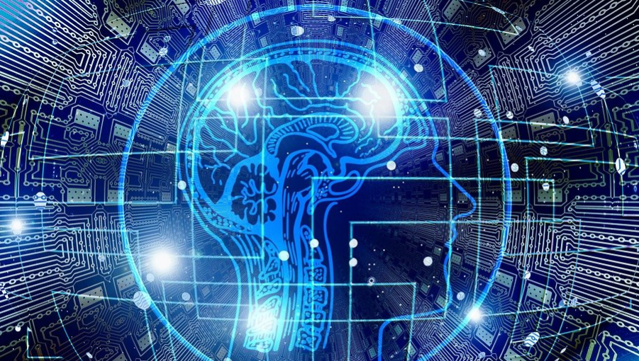 How to set up a small business network with a server?