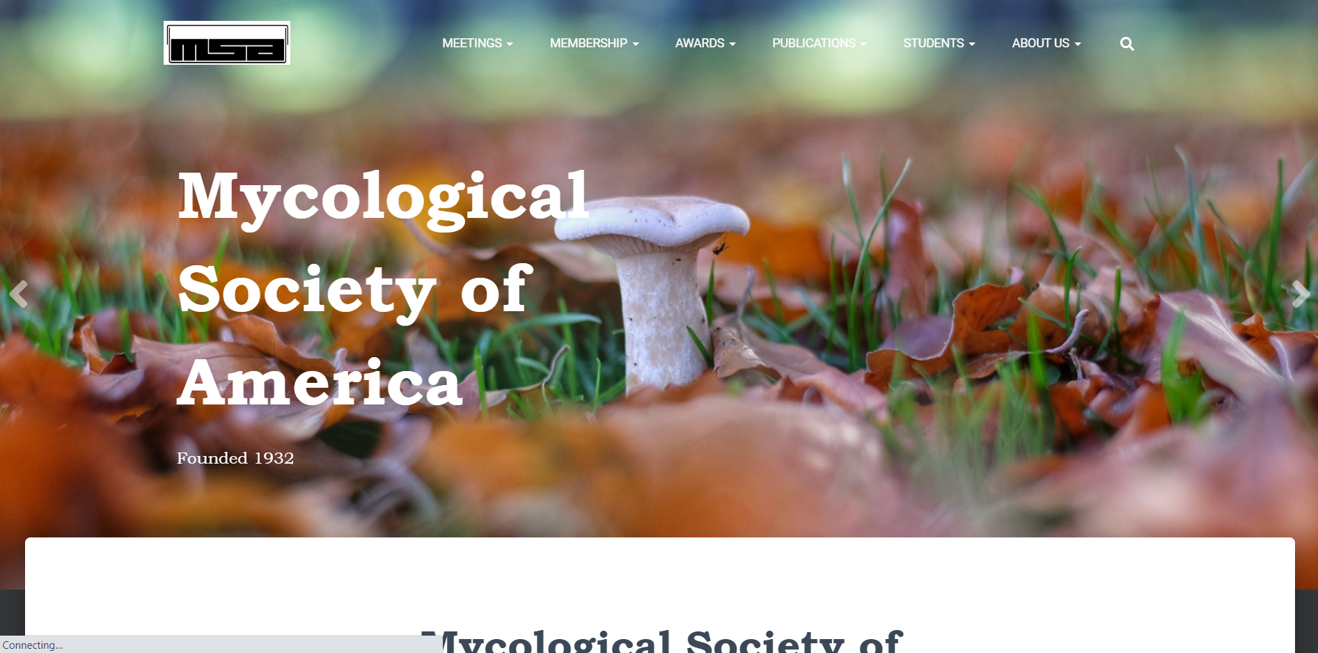 Mycological Society of America