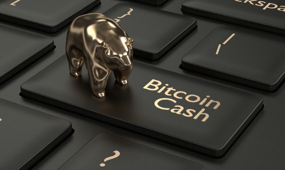Can you convert bitcoin cash and bitcoin