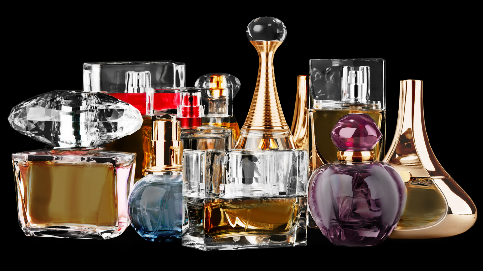 Top 10 Best Selling Perfumes In The World Top 10 Perfumes in the World
