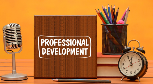 Encourage Professional Development