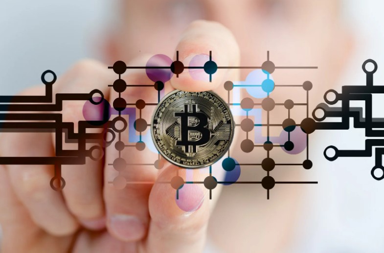 Who Has The Most Bitcoin In USA? – Top 10 Persons who has the most bitcoin