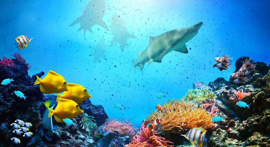 unclearaqua.site: Revolutionizing Digital Task Management